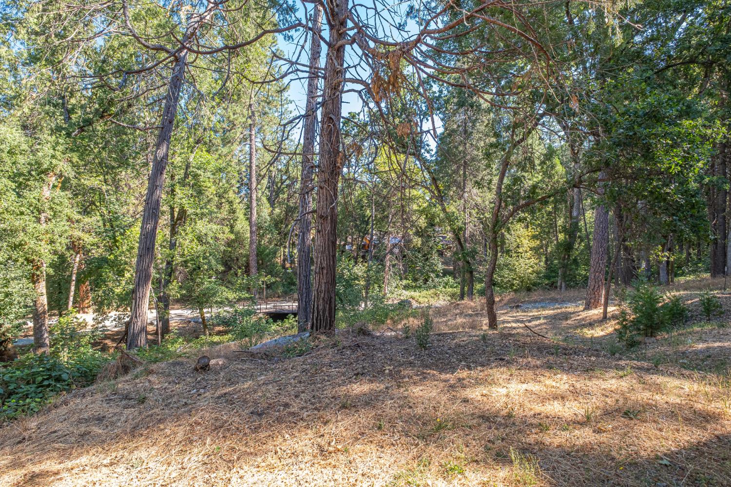 7701 Sly Park Road