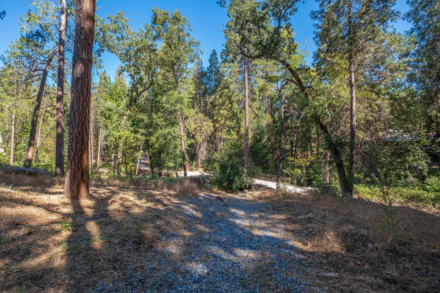 7701 Sly Park Road