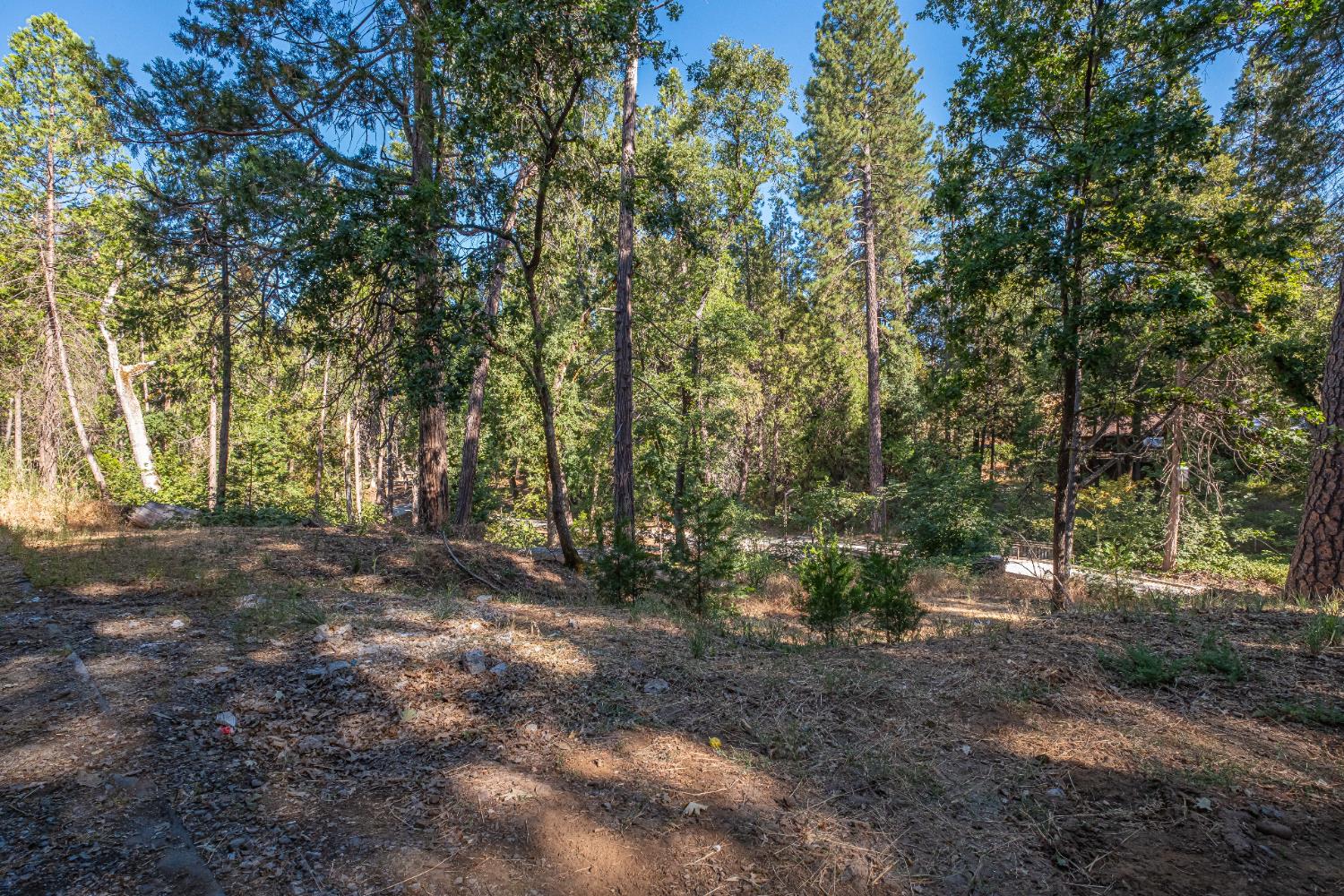 7701 Sly Park Road