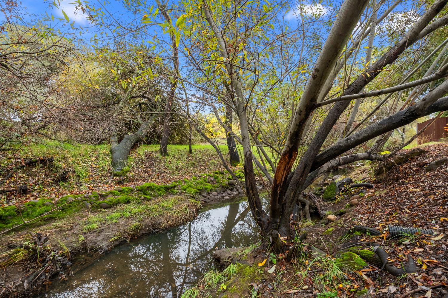 2628 Royal Park Drive