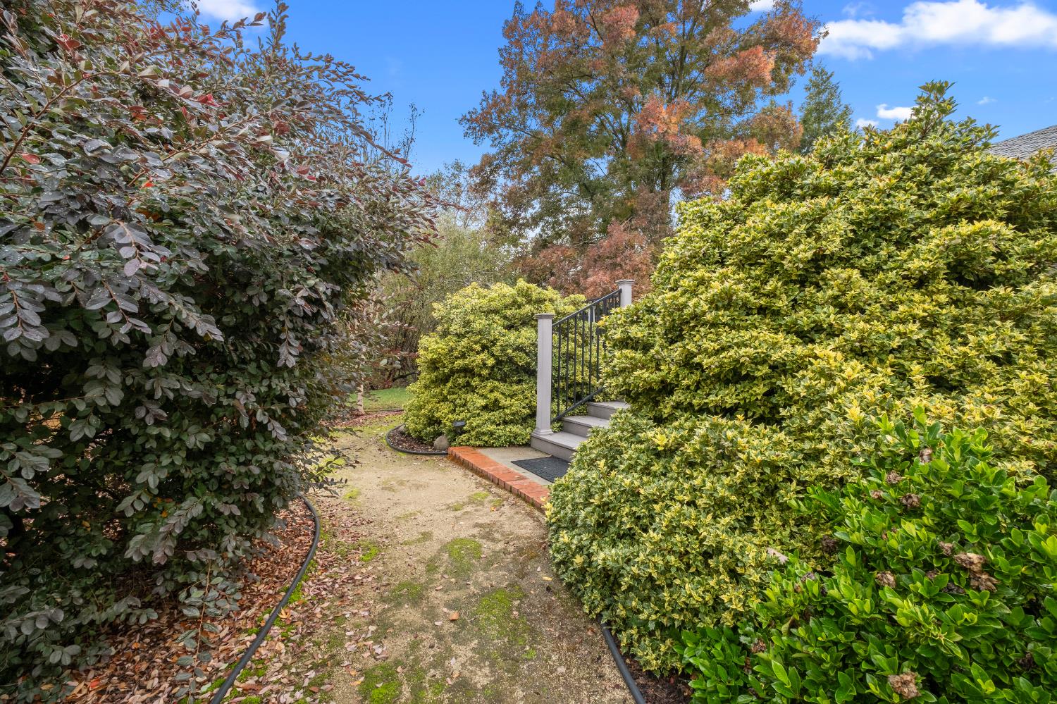 2628 Royal Park Drive