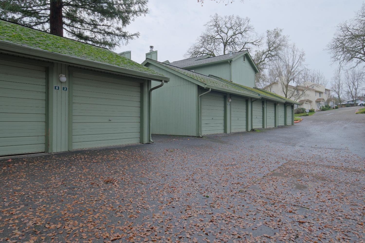 3133 Cambridge Road 3