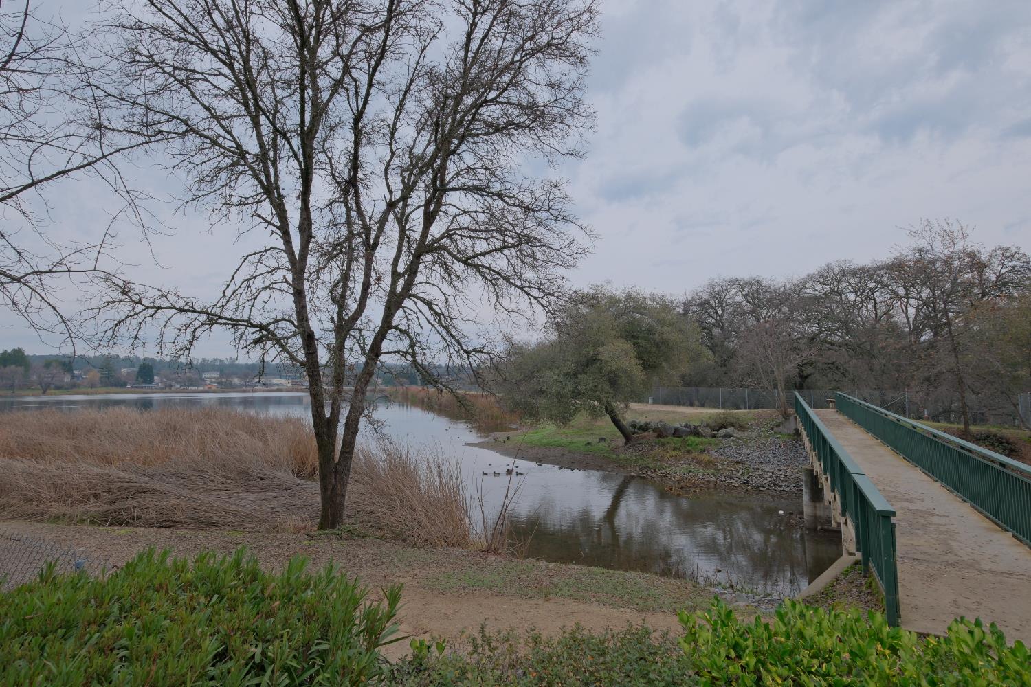 3133 Cambridge Road 3