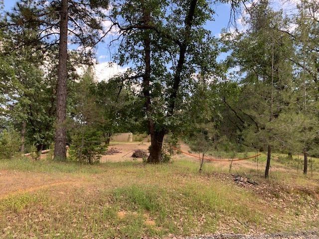 1500 Live Oak Road