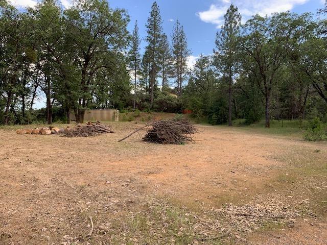 1500 Live Oak Road