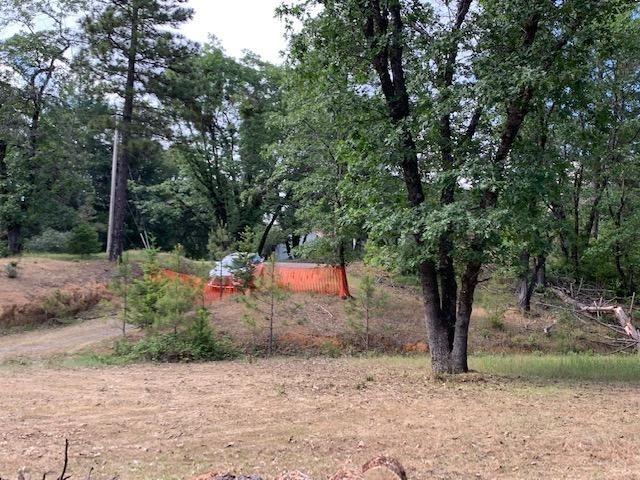 1500 Live Oak Road