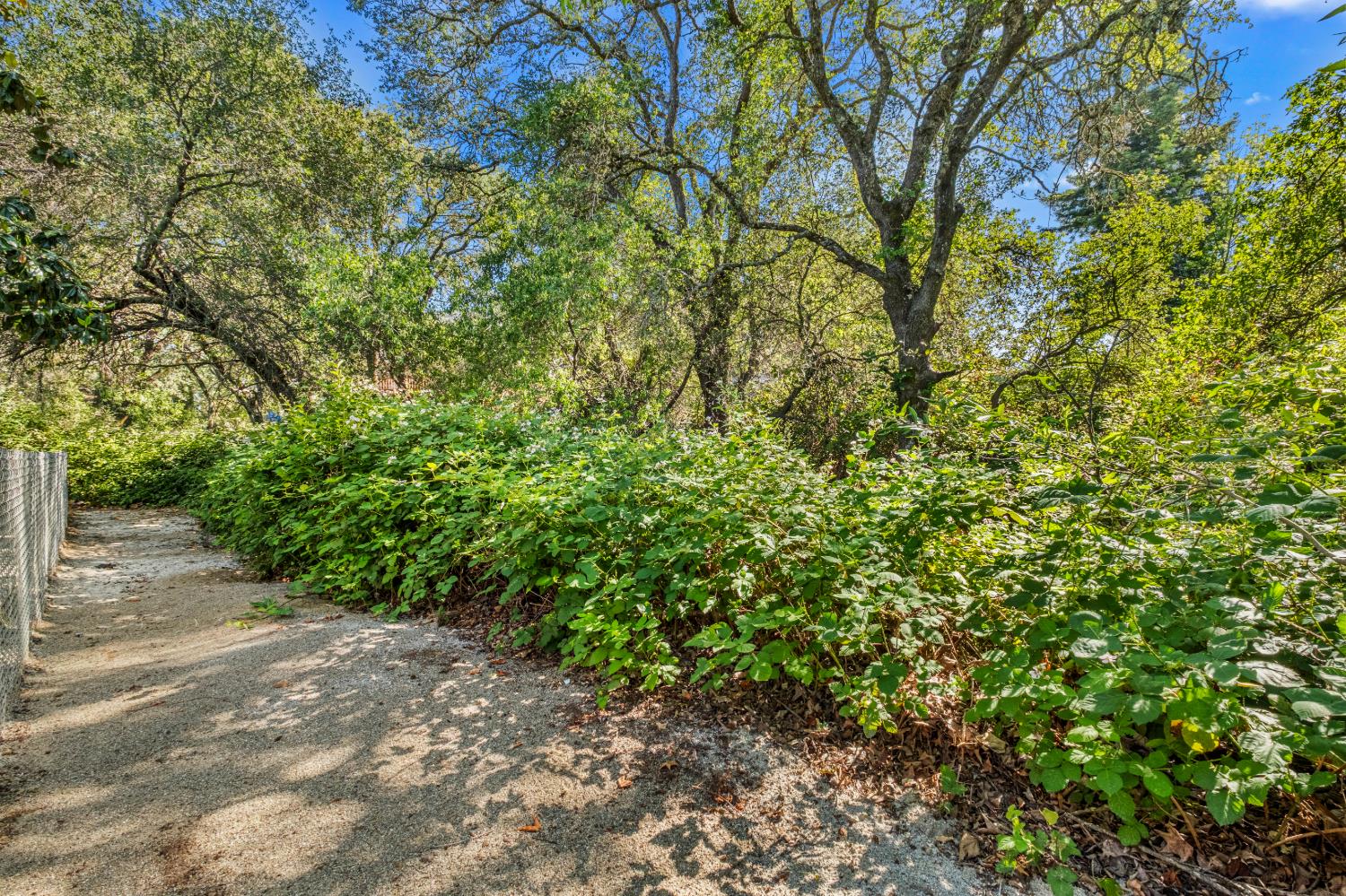 3328 Village Court