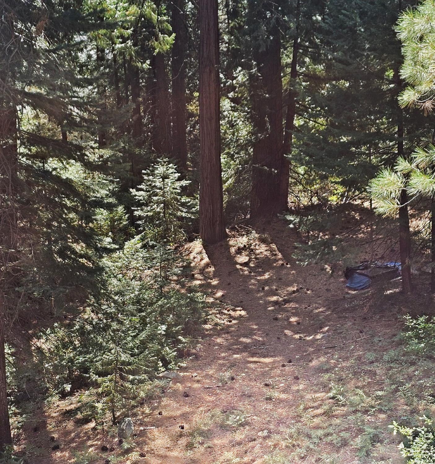 41100 Putt Road
