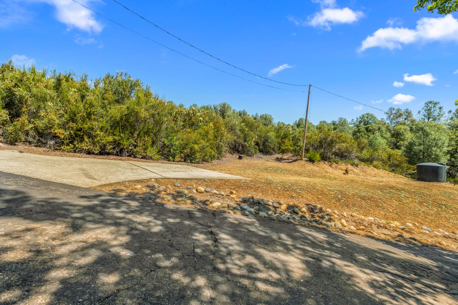 5045 Free Fox Lane