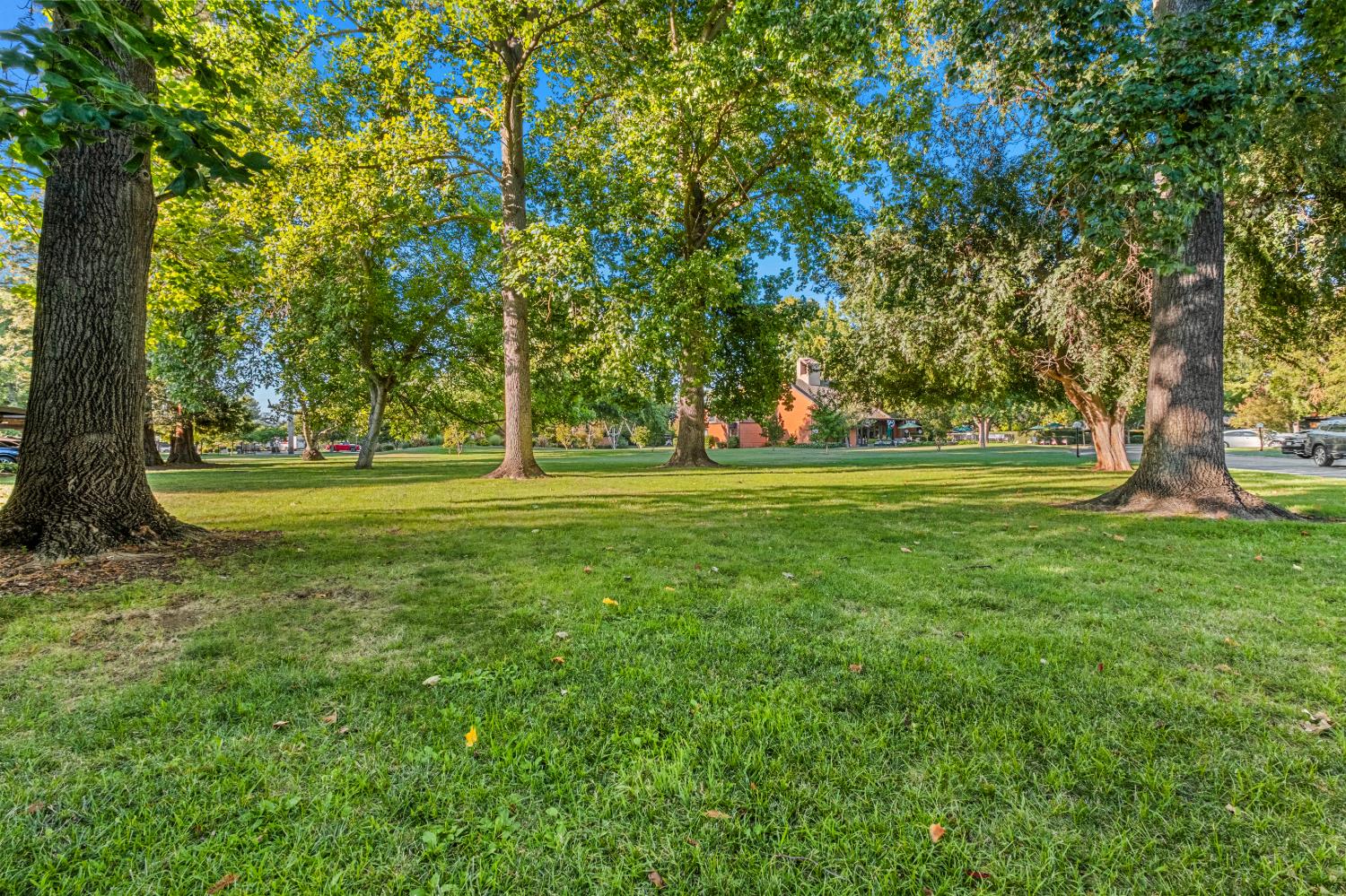 2229 Woodside Lane 8