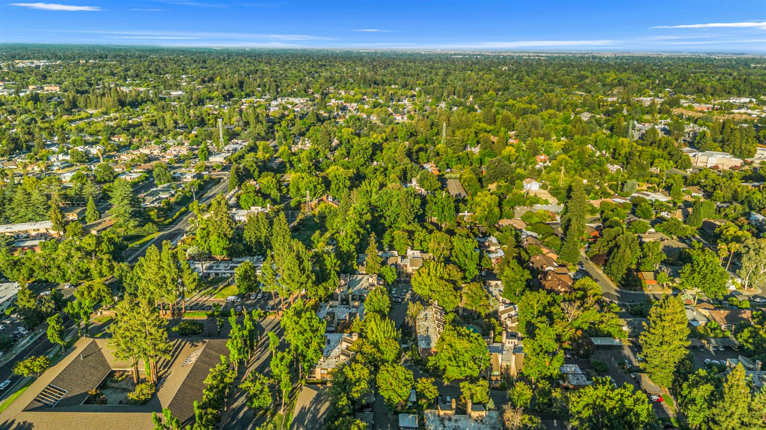 2229 Woodside Lane 8