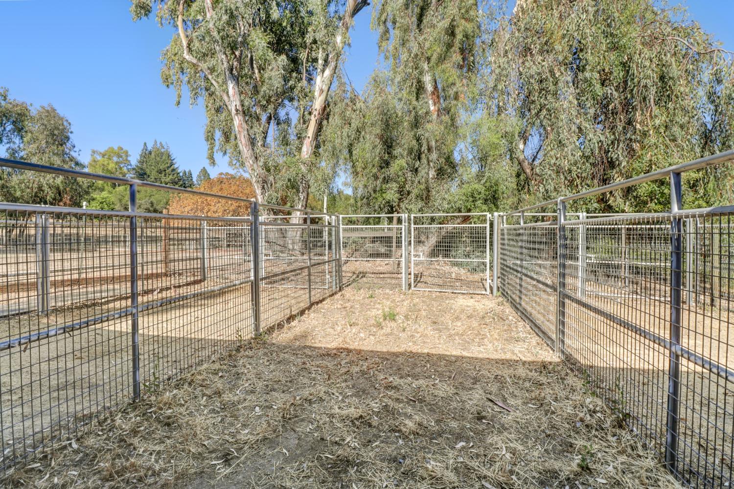 3625 Whiskey Hill Road