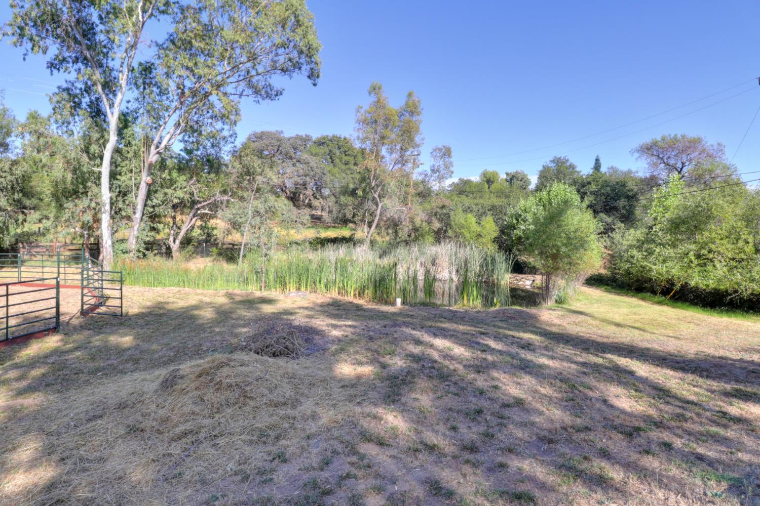 3625 Whiskey Hill Road