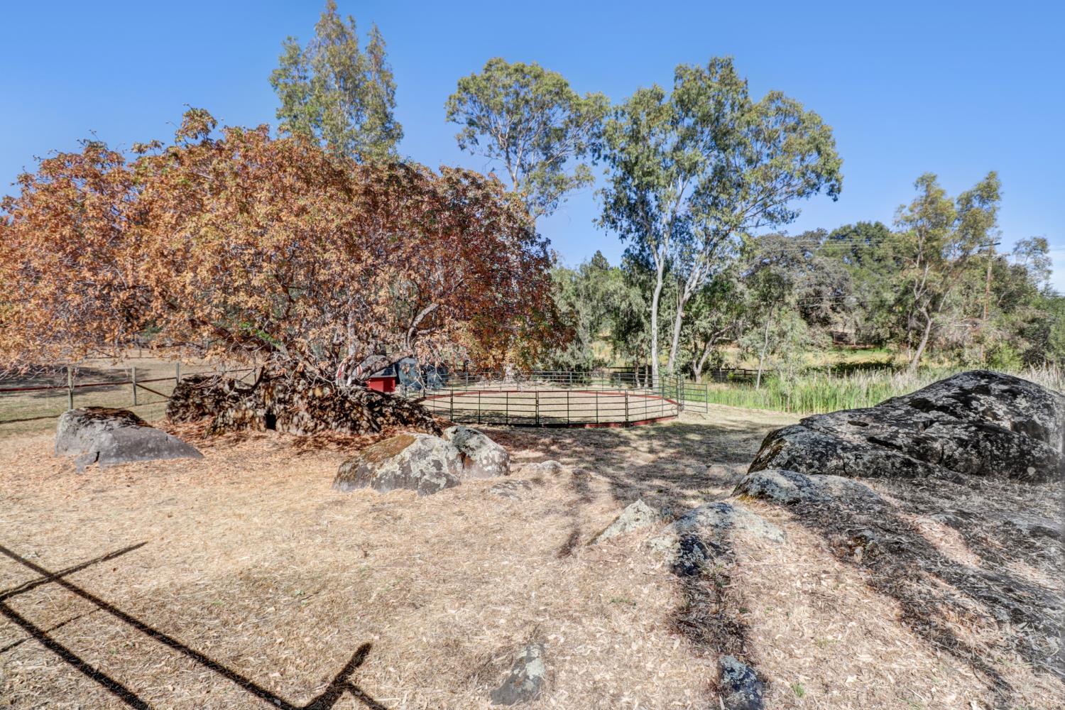 3625 Whiskey Hill Road