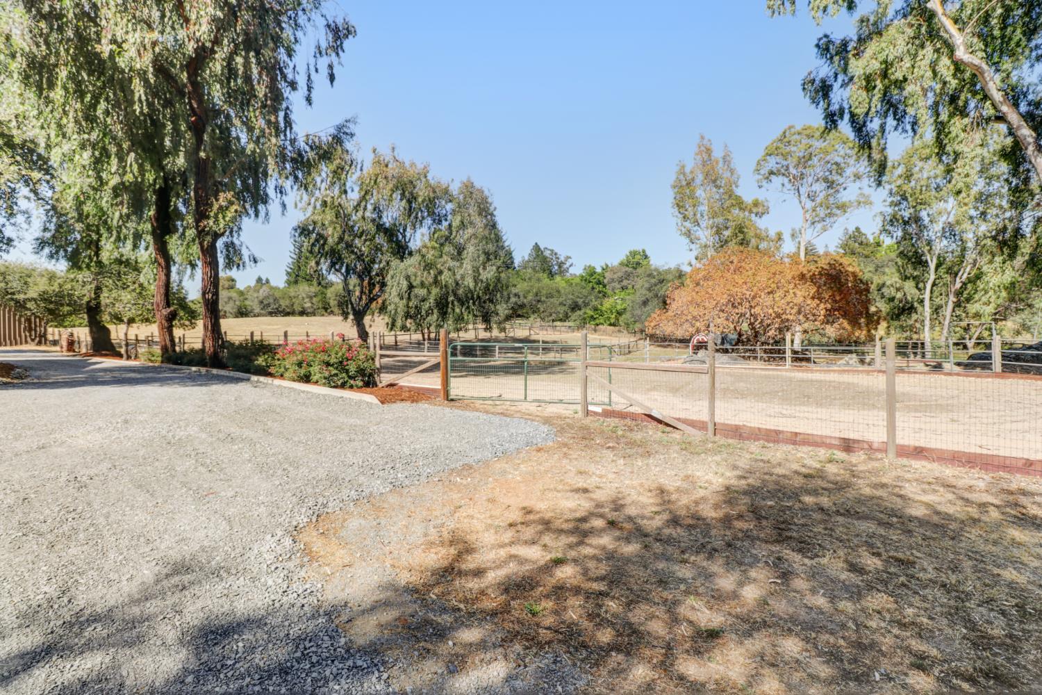 3625 Whiskey Hill Road