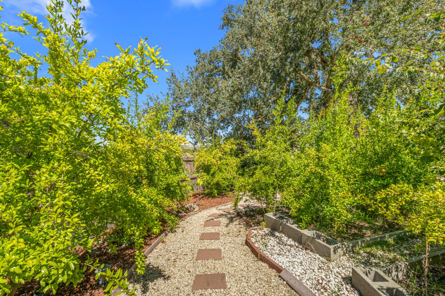 1721 Olive Heights Court