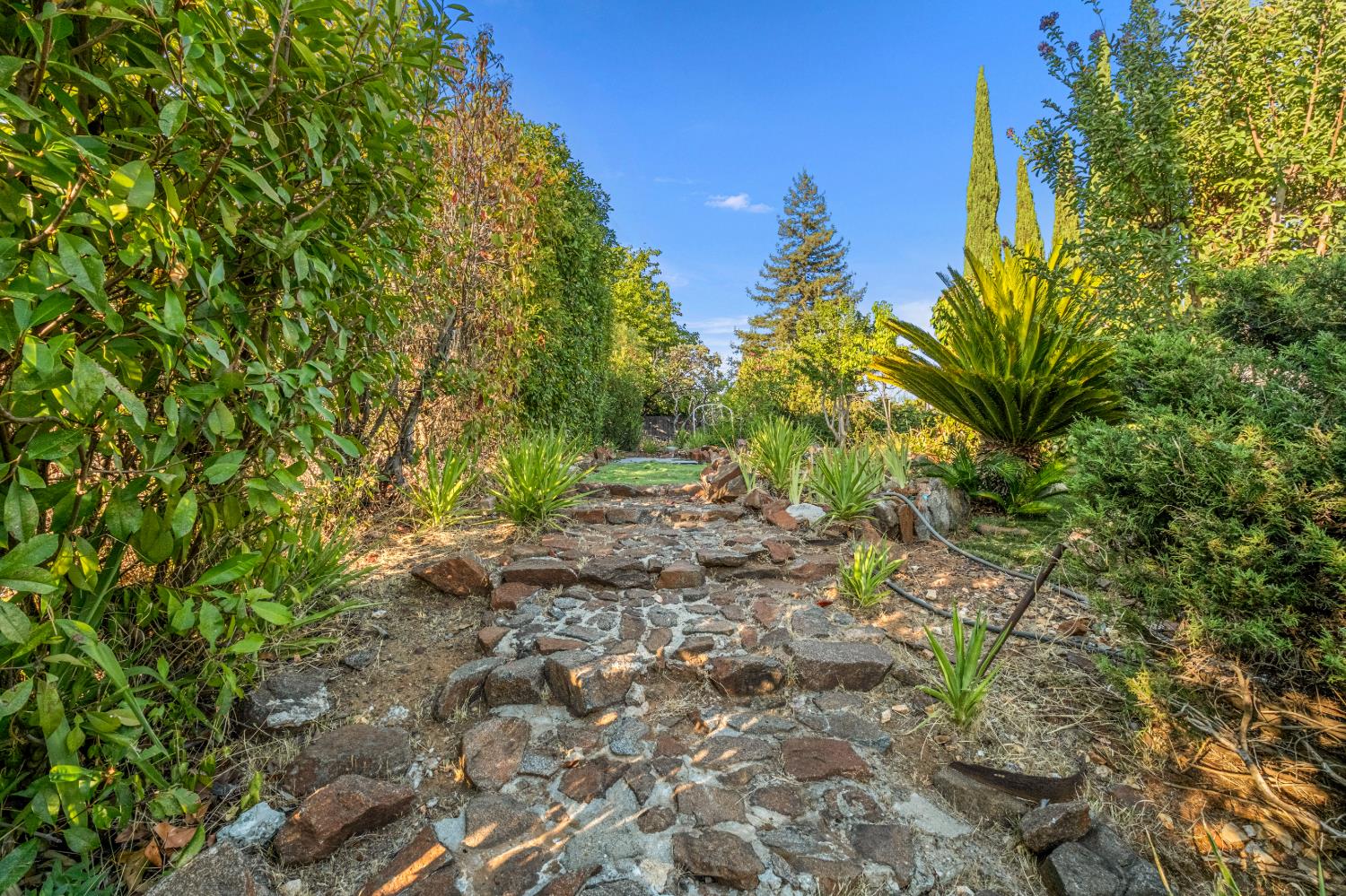 2841 Montebello Way