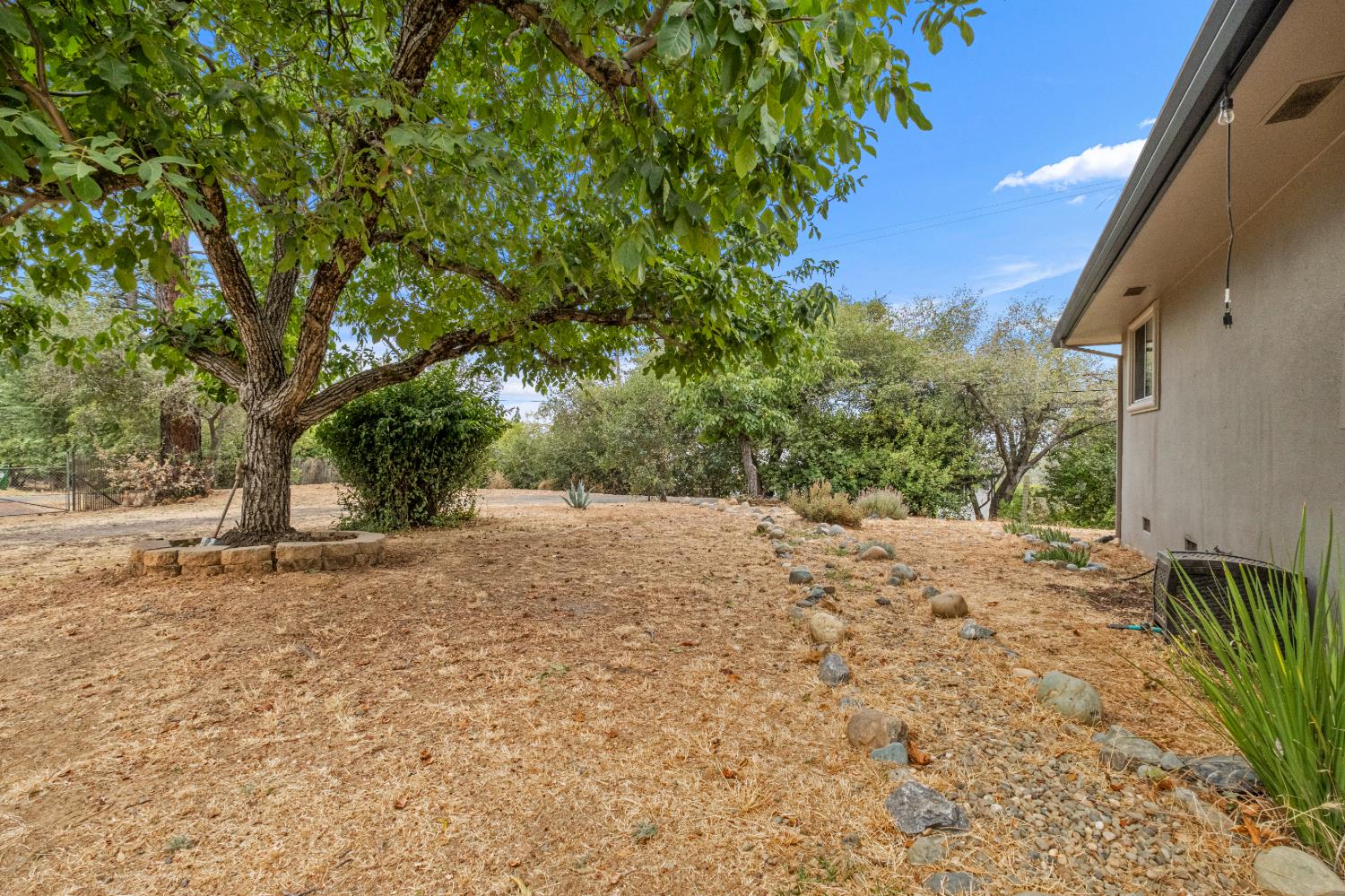 1200 Cebu Lane