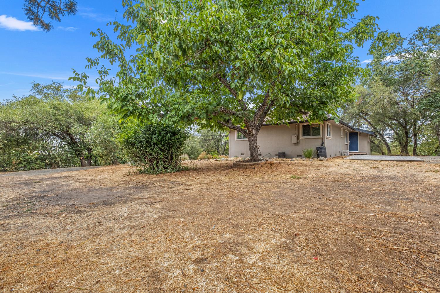1200 Cebu Lane