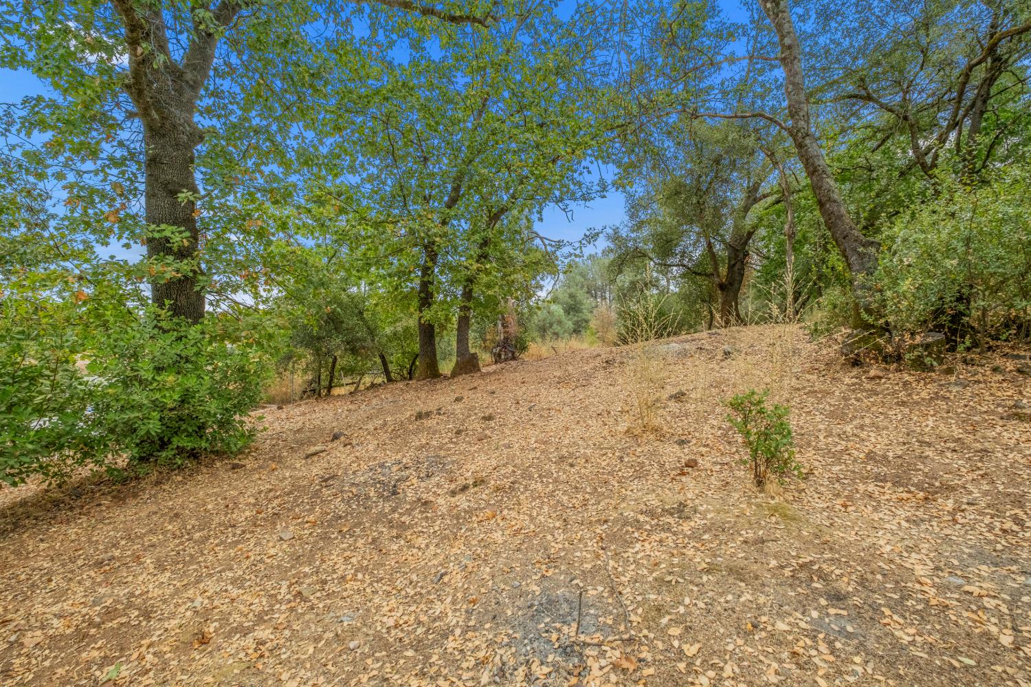 1200 Cebu Lane