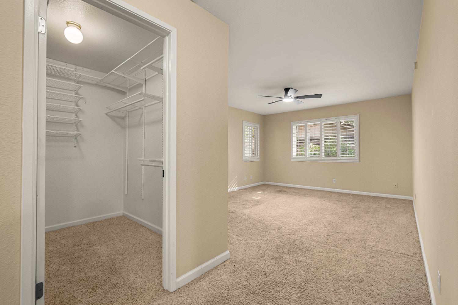7458 Black Tree Lane