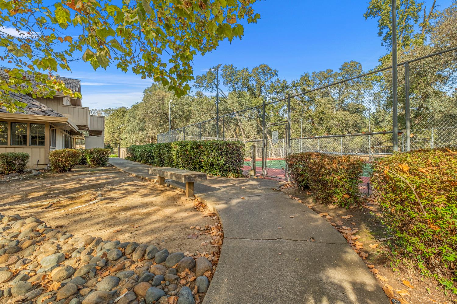 7458 Black Tree Lane