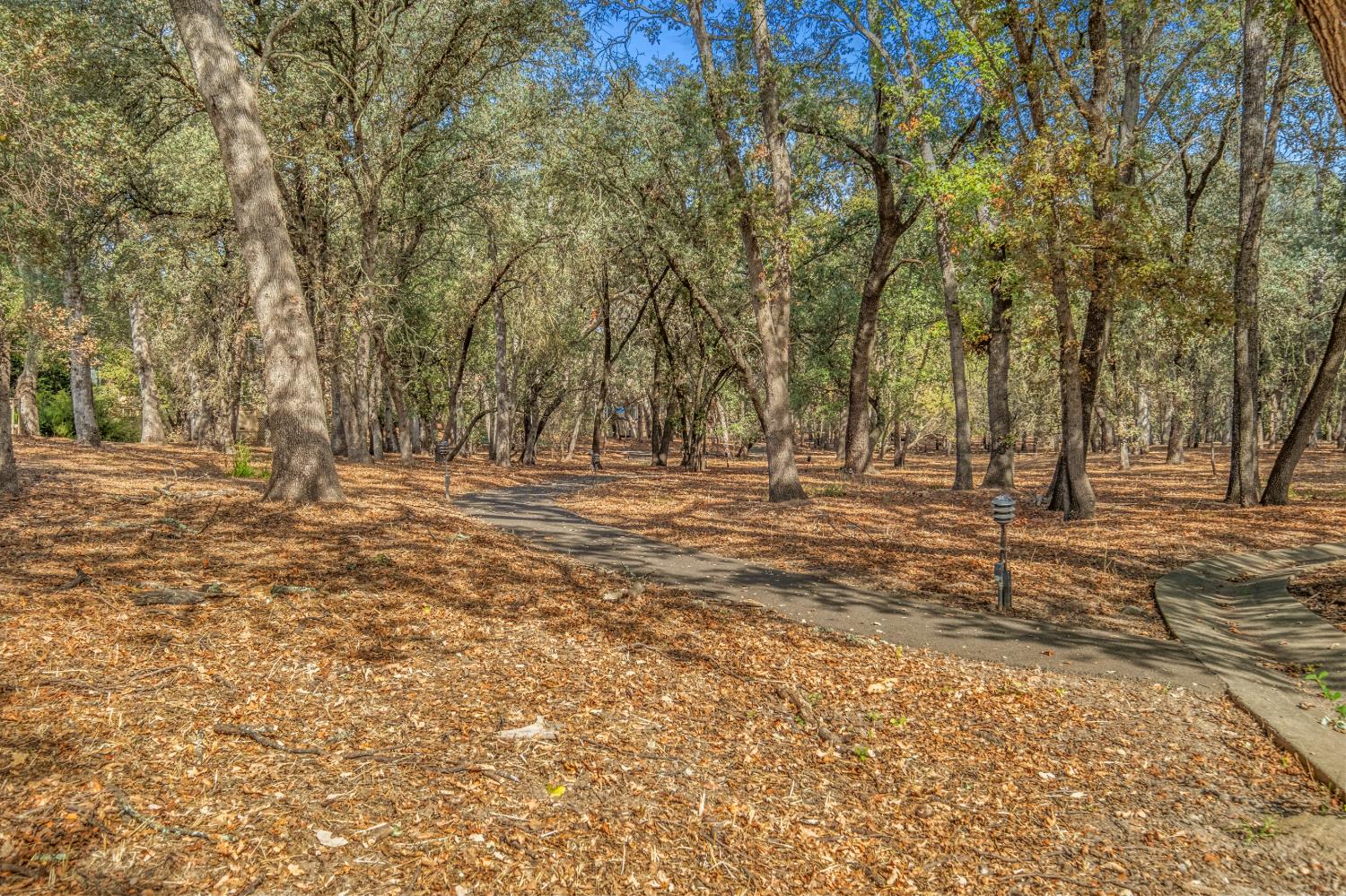 7458 Black Tree Lane