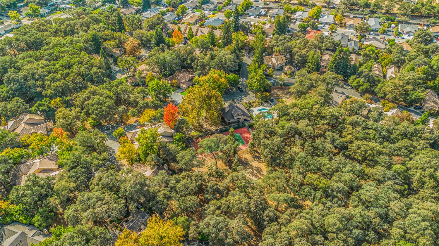 7458 Black Tree Lane