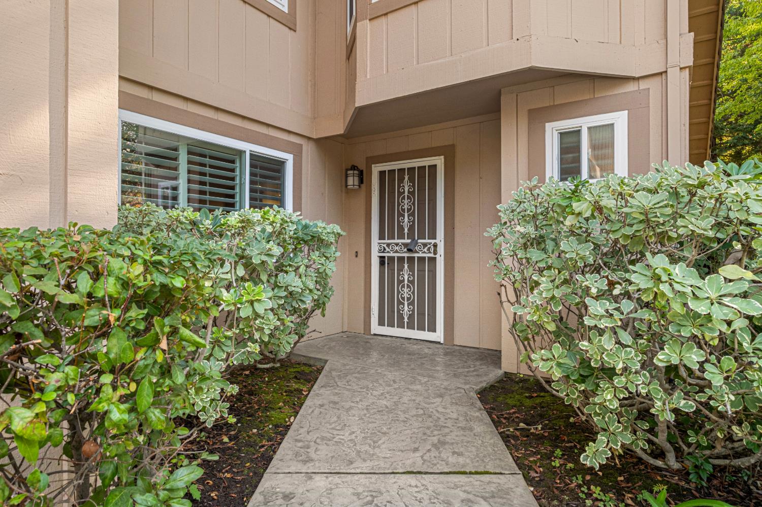 7458 Black Tree Lane