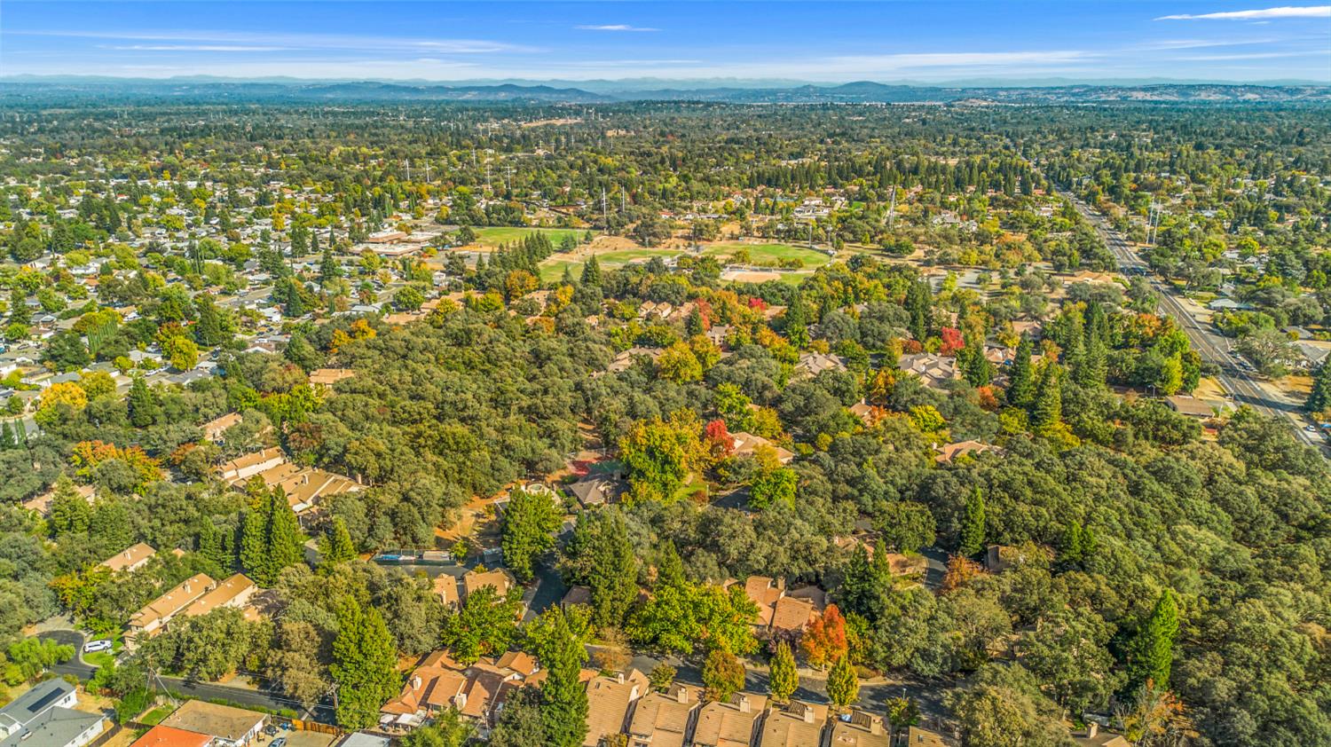 7458 Black Tree Lane