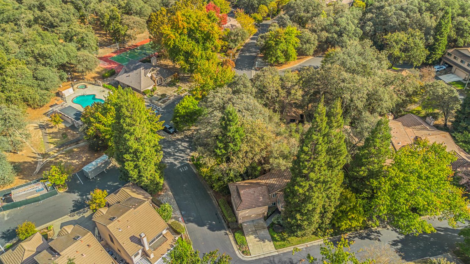 7458 Black Tree Lane