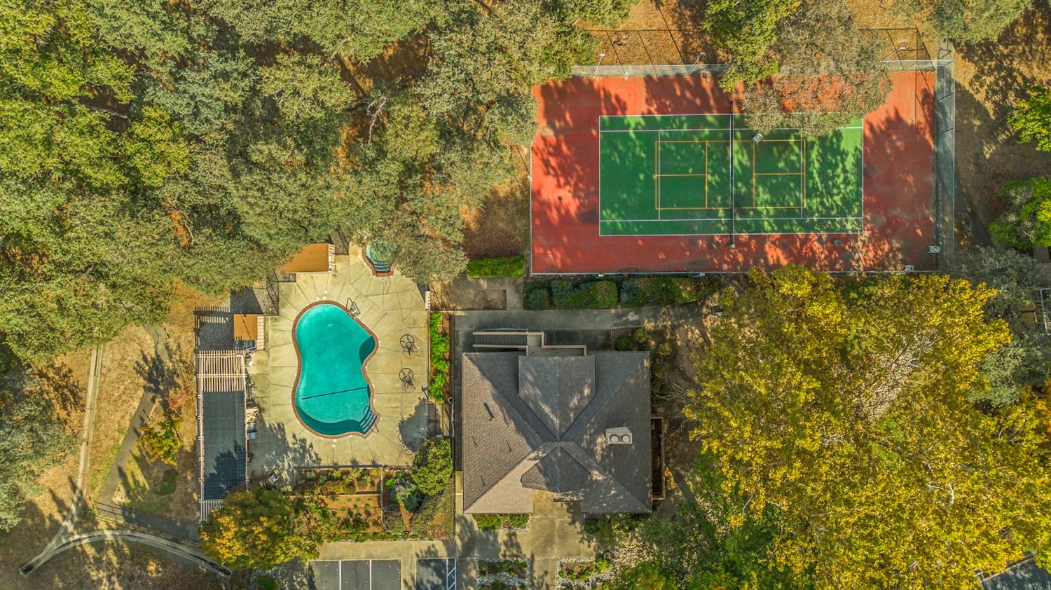 7458 Black Tree Lane