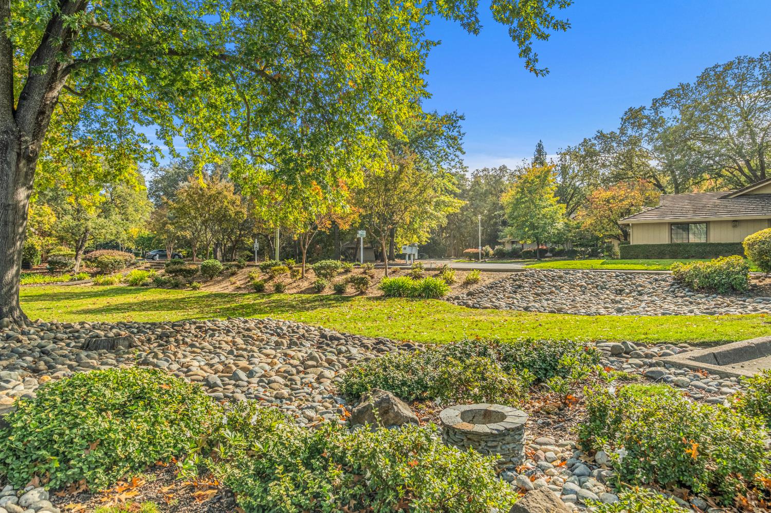 7458 Black Tree Lane