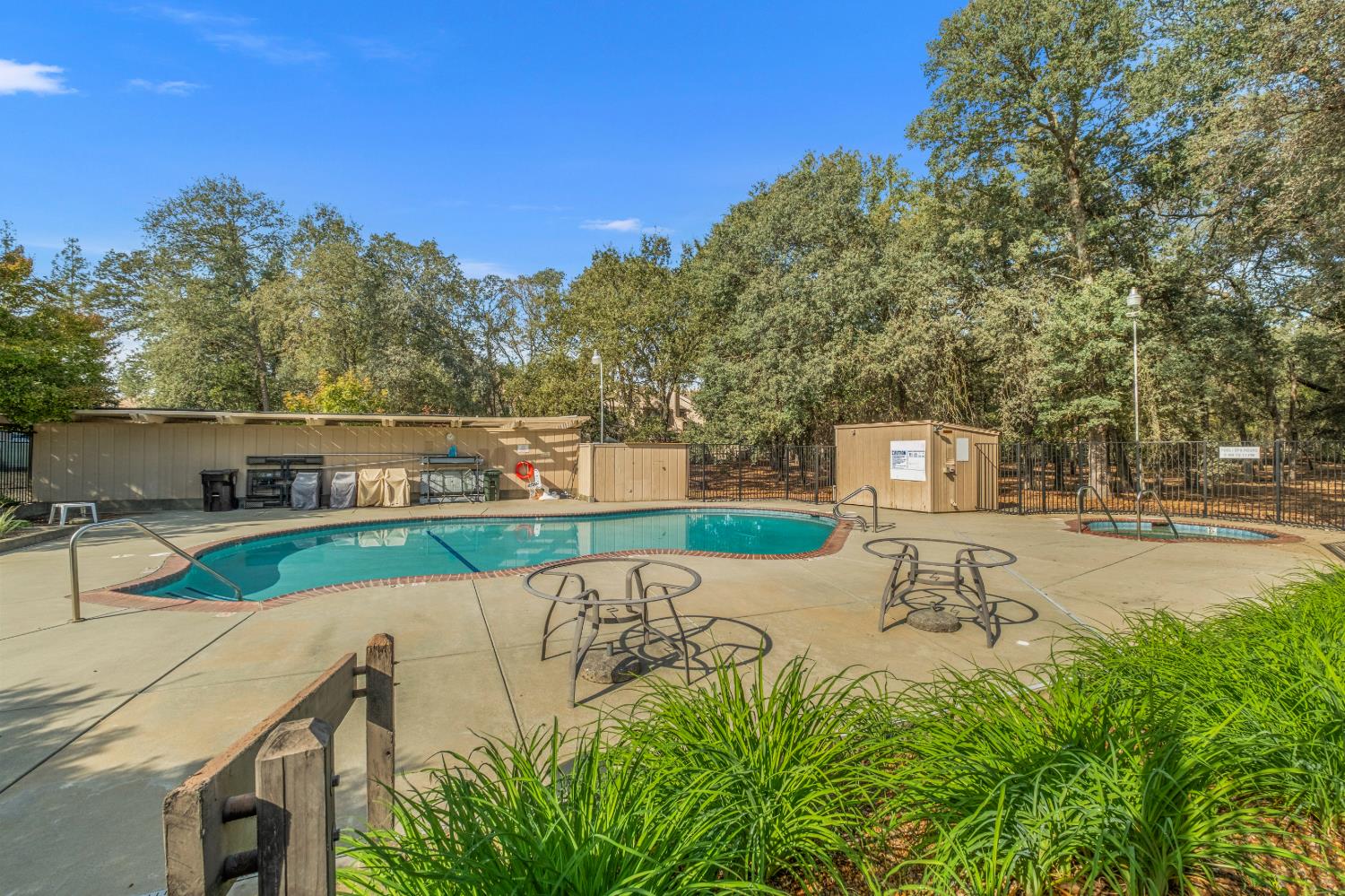 7458 Black Tree Lane