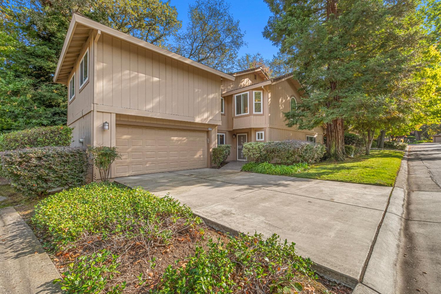 7458 Black Tree Lane