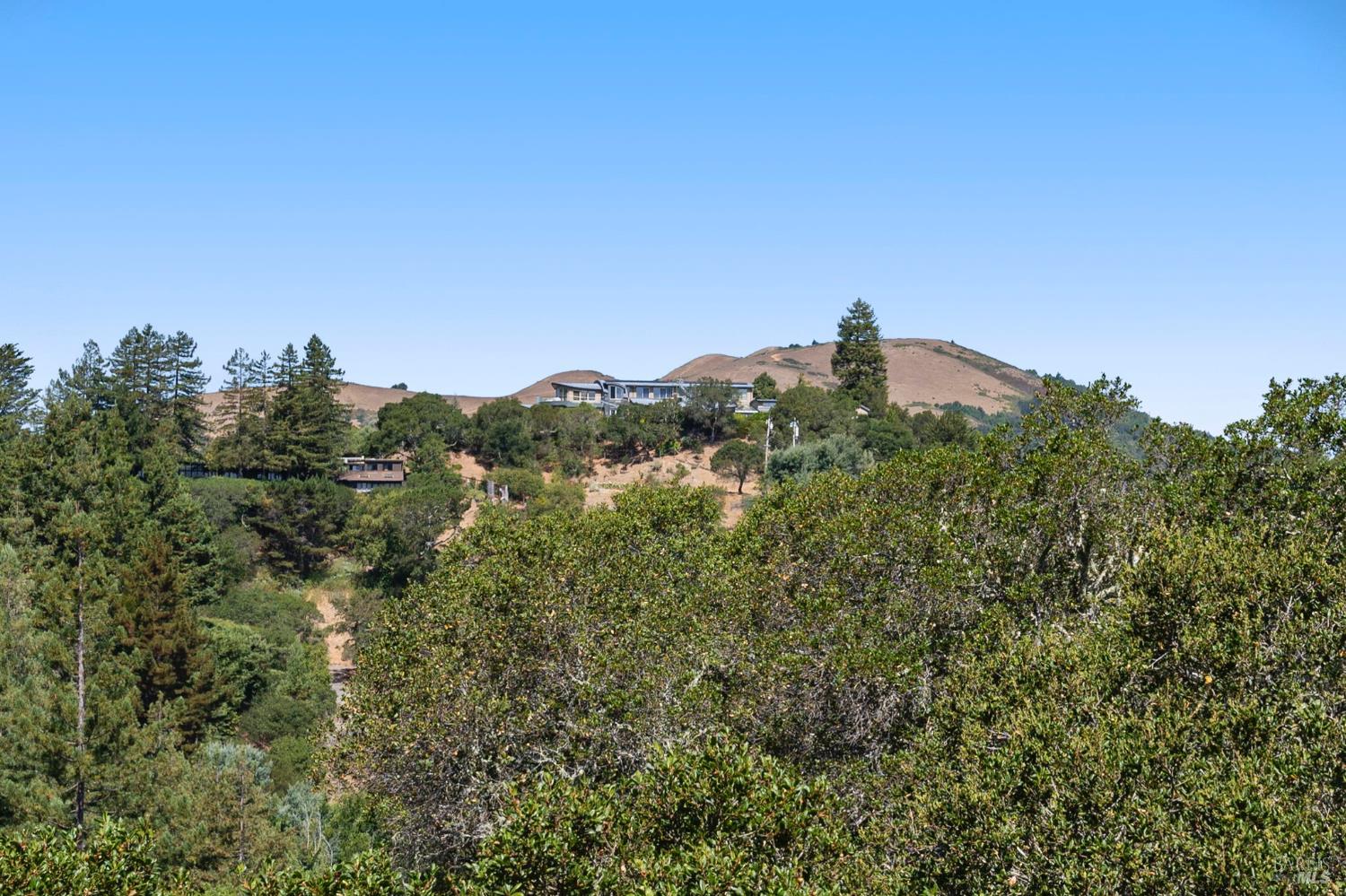 3 Coronet Way
