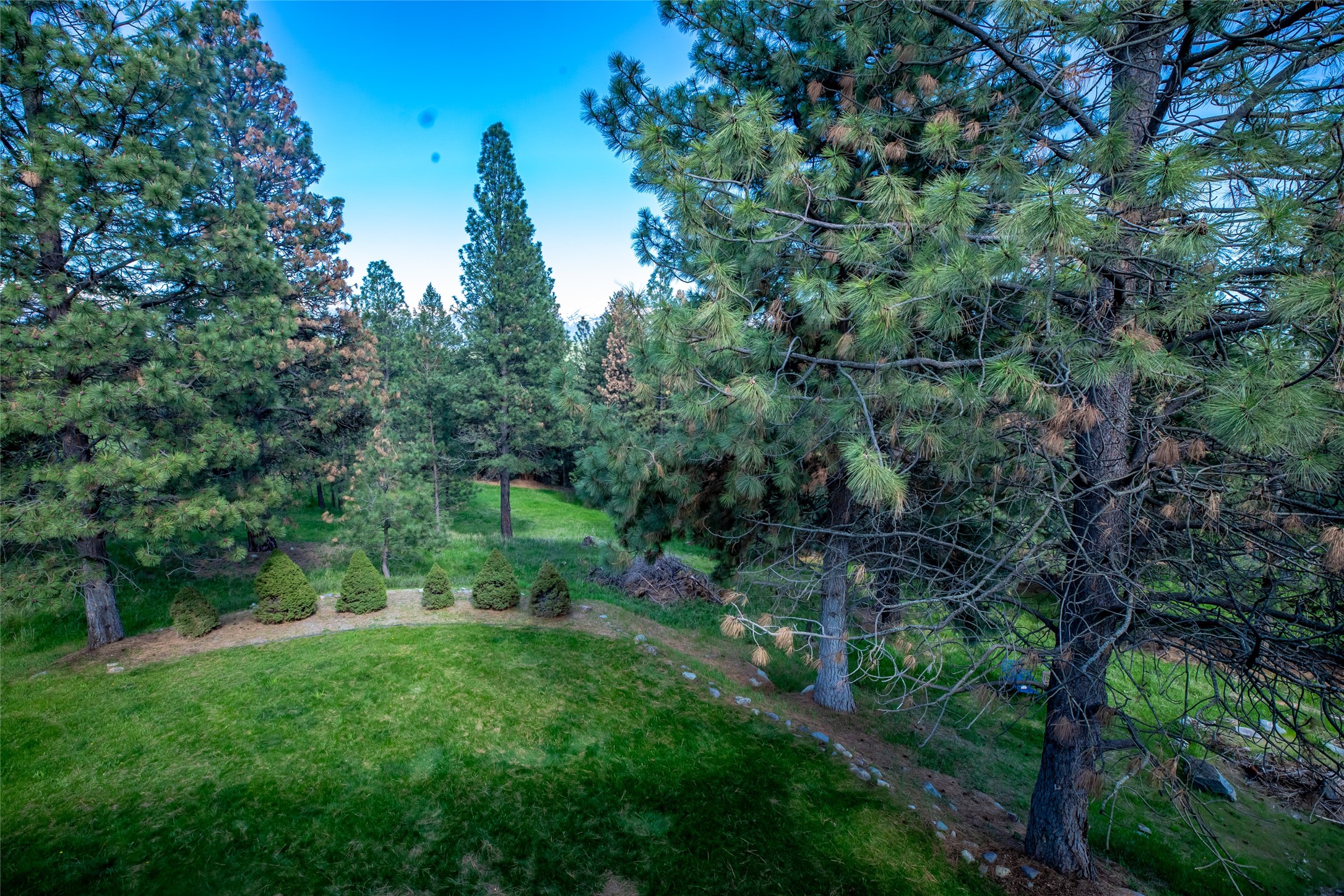 495 Windsor Drive