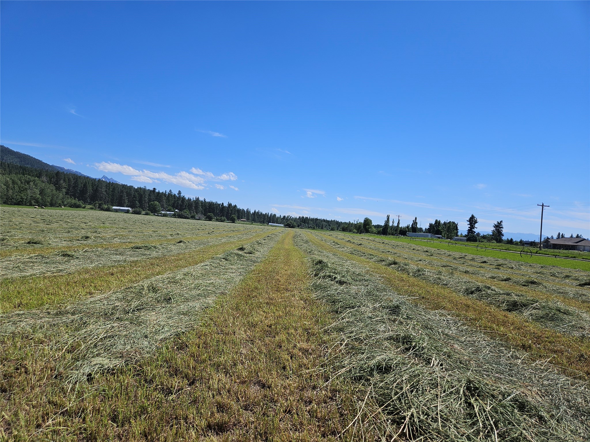 NHN Haystack Mountain Lane