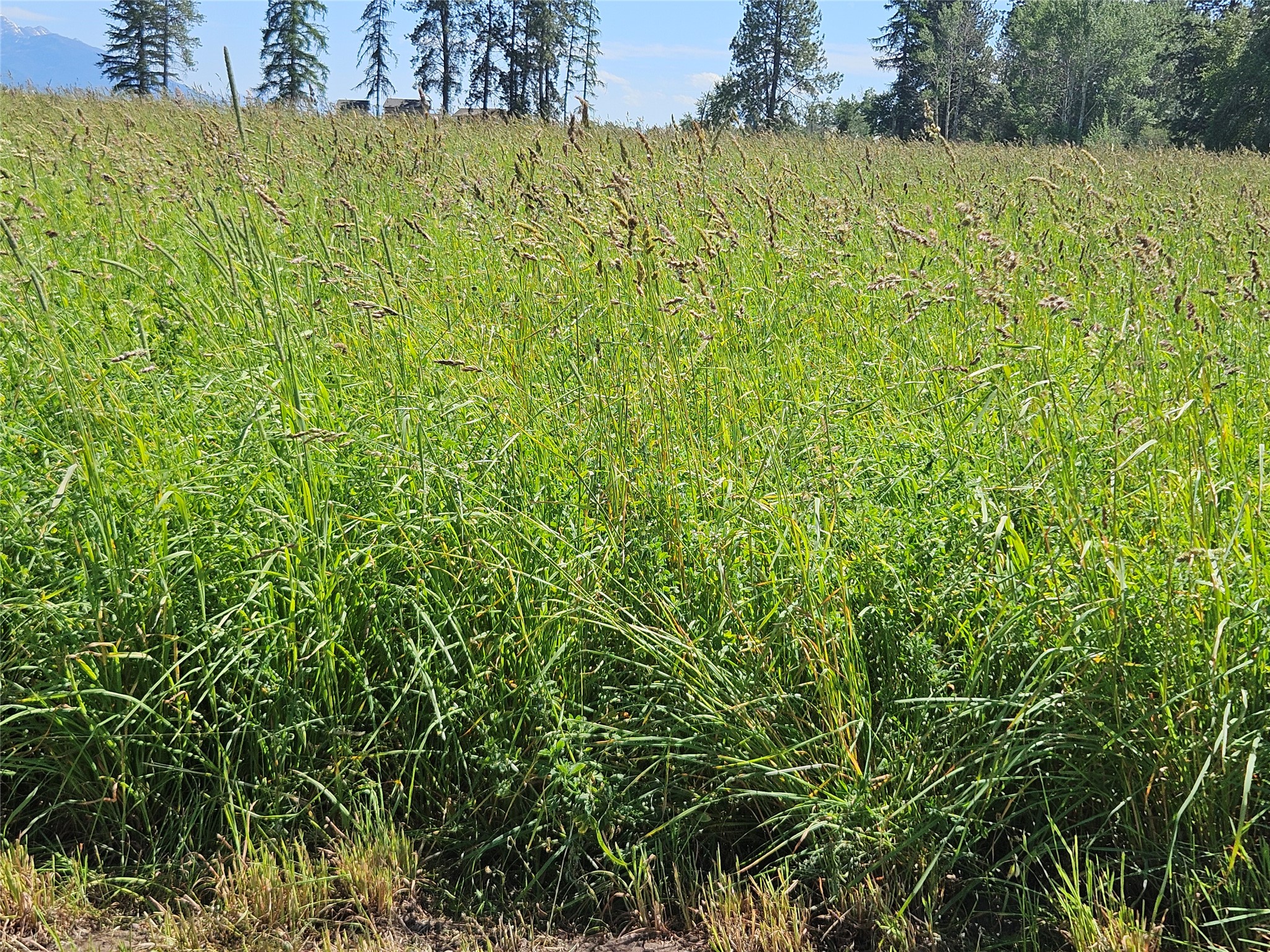NHN Haystack Mountain Lane