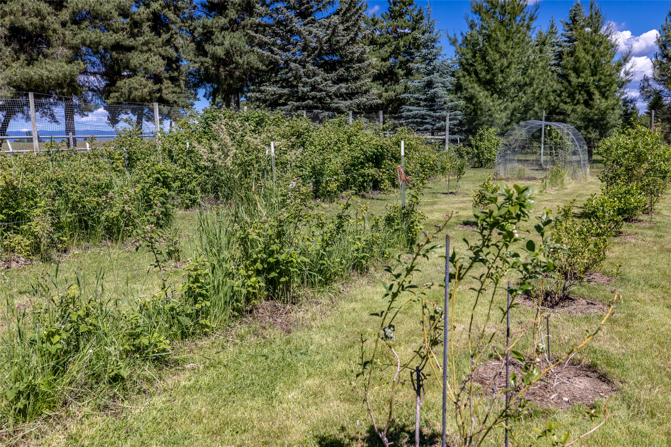 182 Moondance Trail