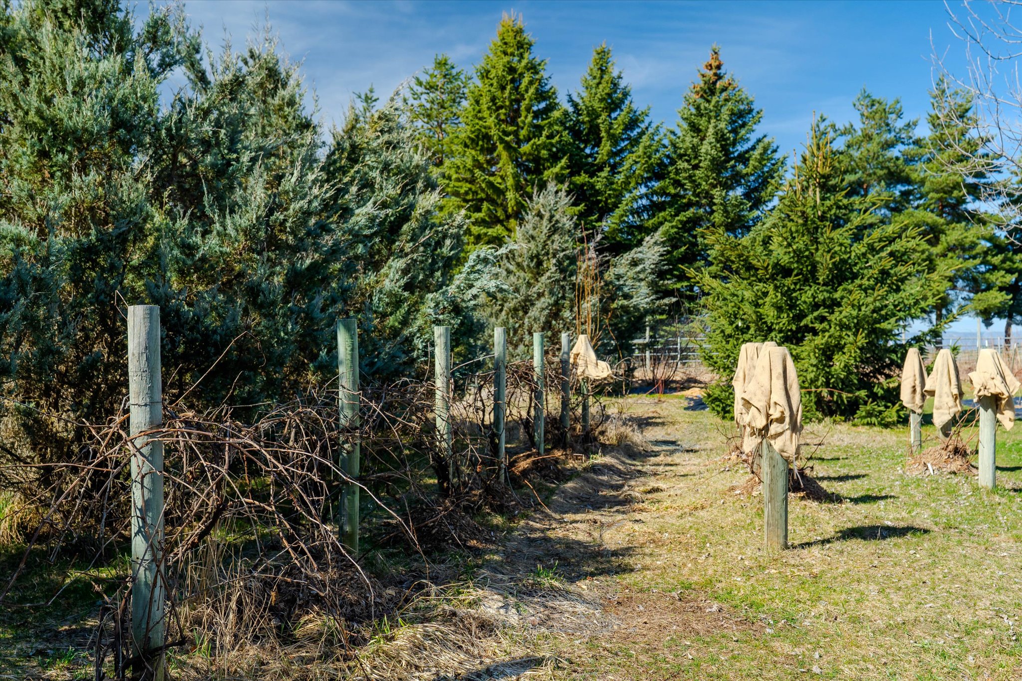 182 Moondance Trail