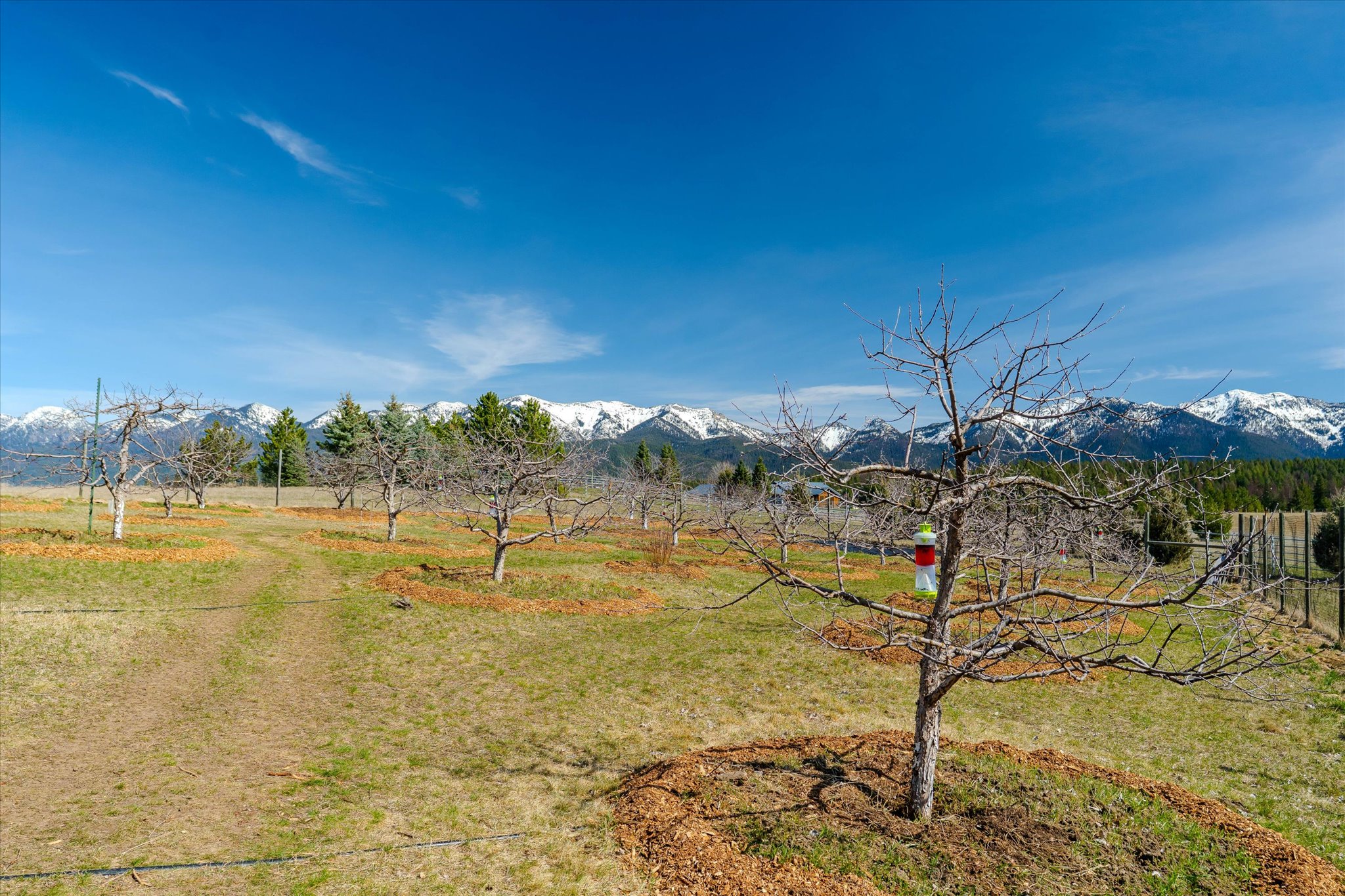 182 Moondance Trail