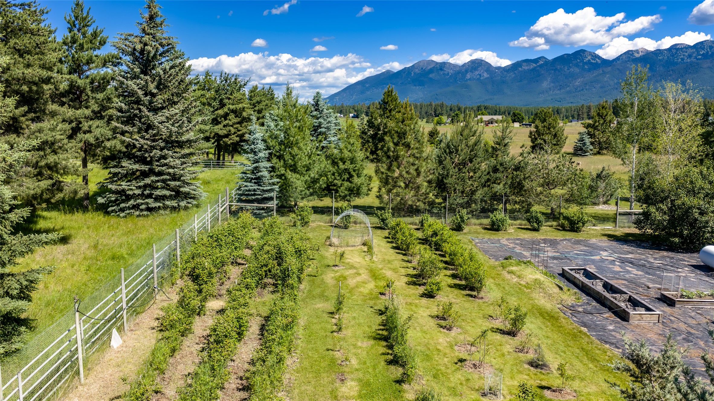 182 Moondance Trail