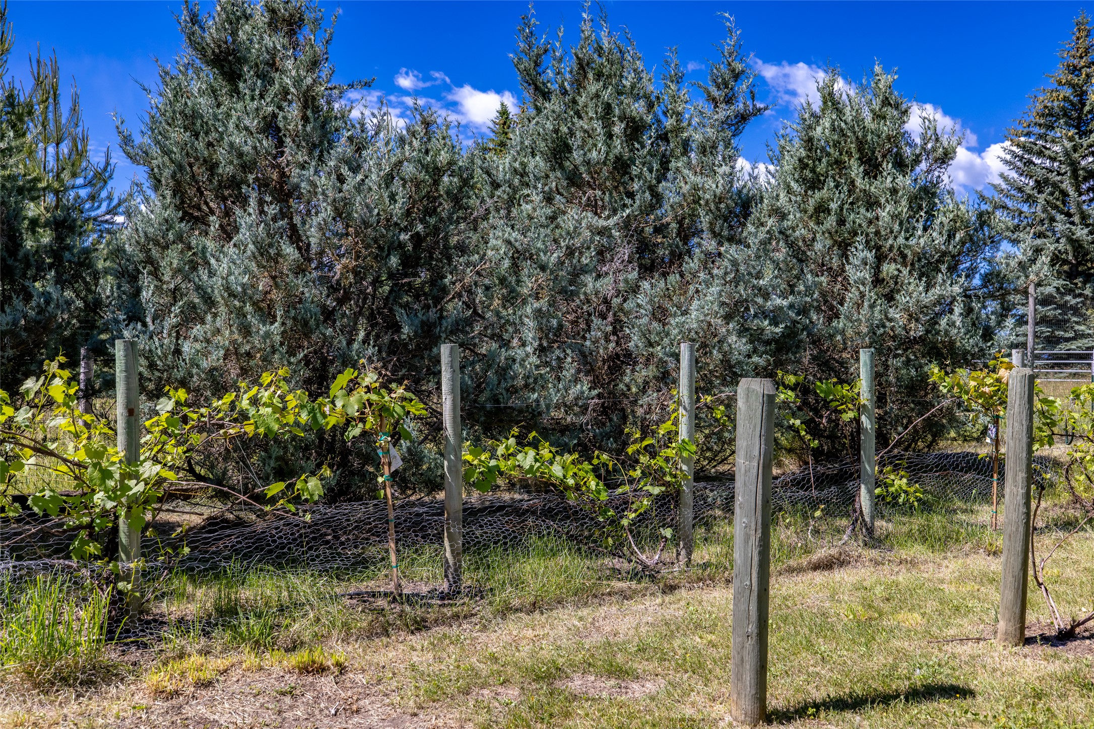 182 Moondance Trail