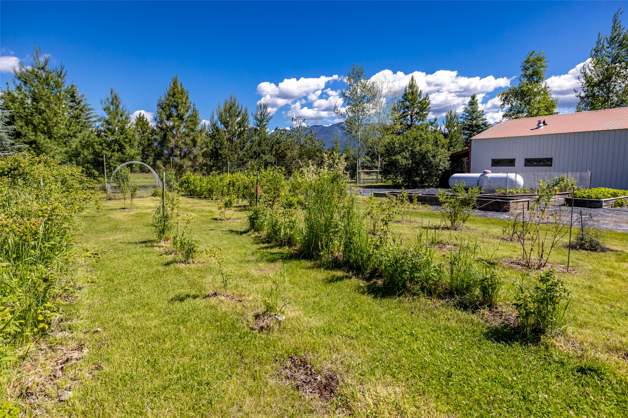 182 Moondance Trail