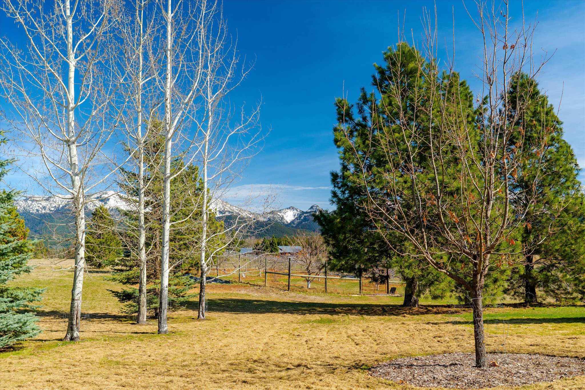 182 Moondance Trail
