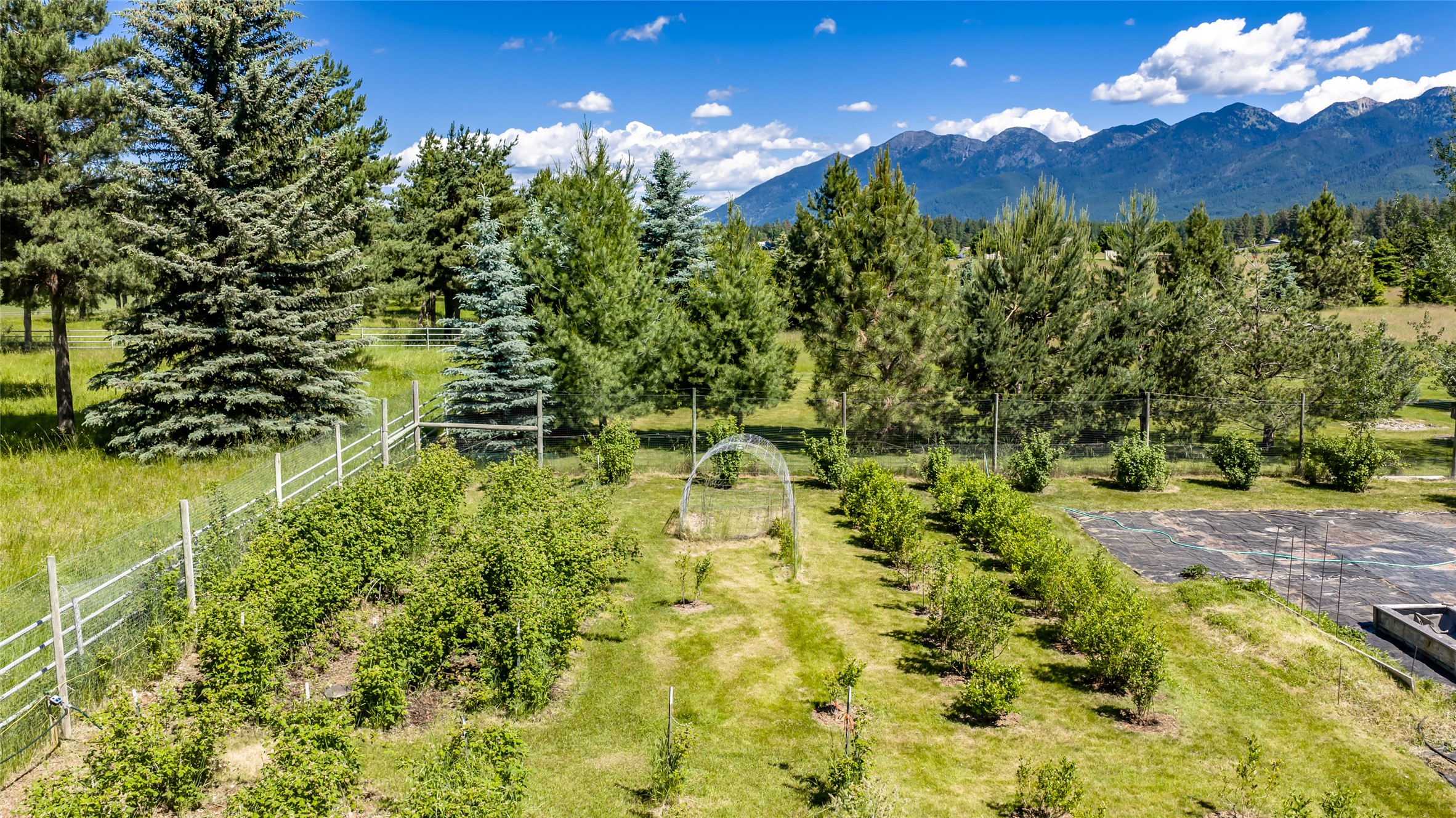 182 Moondance Trail