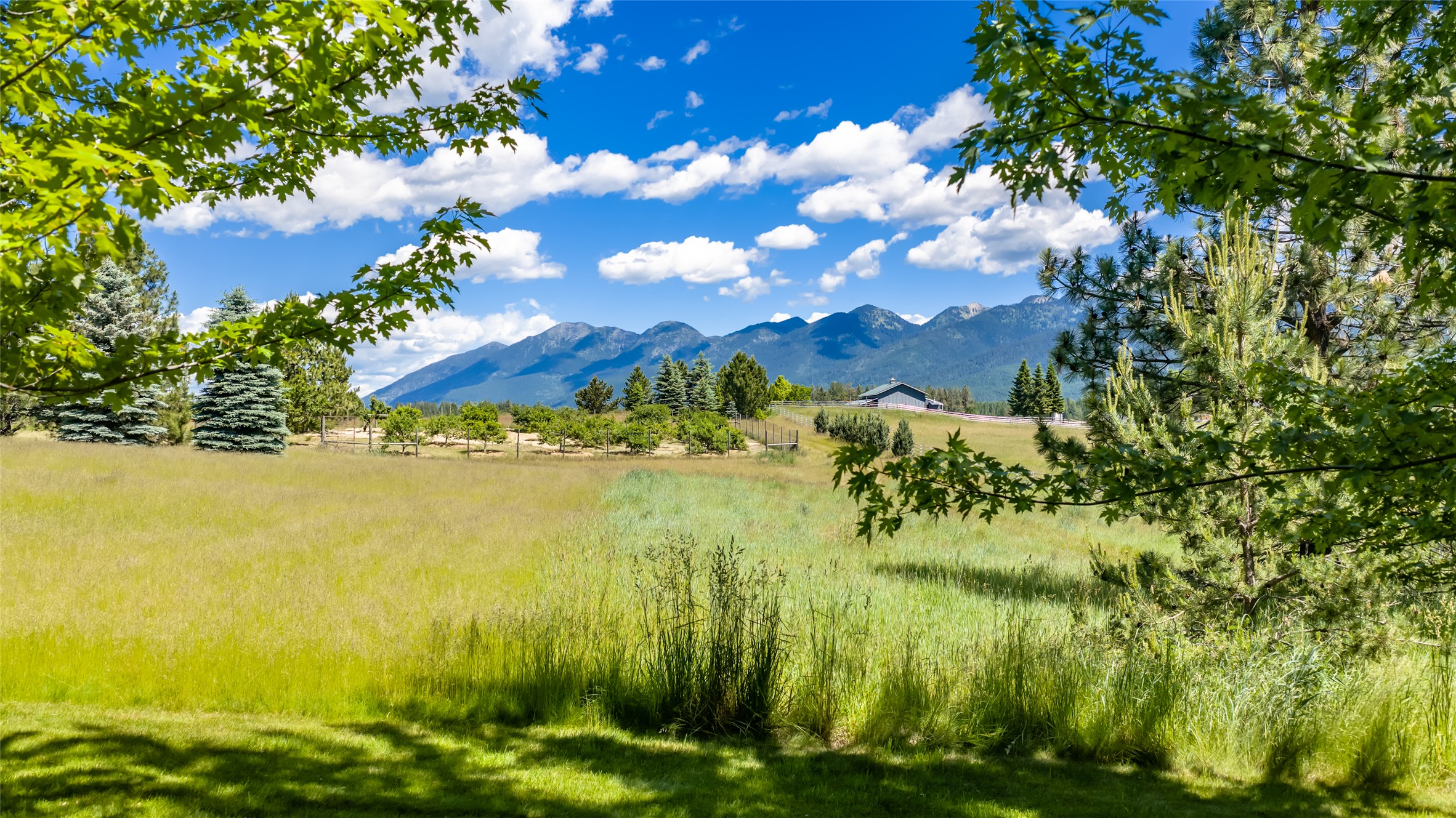 182 Moondance Trail
