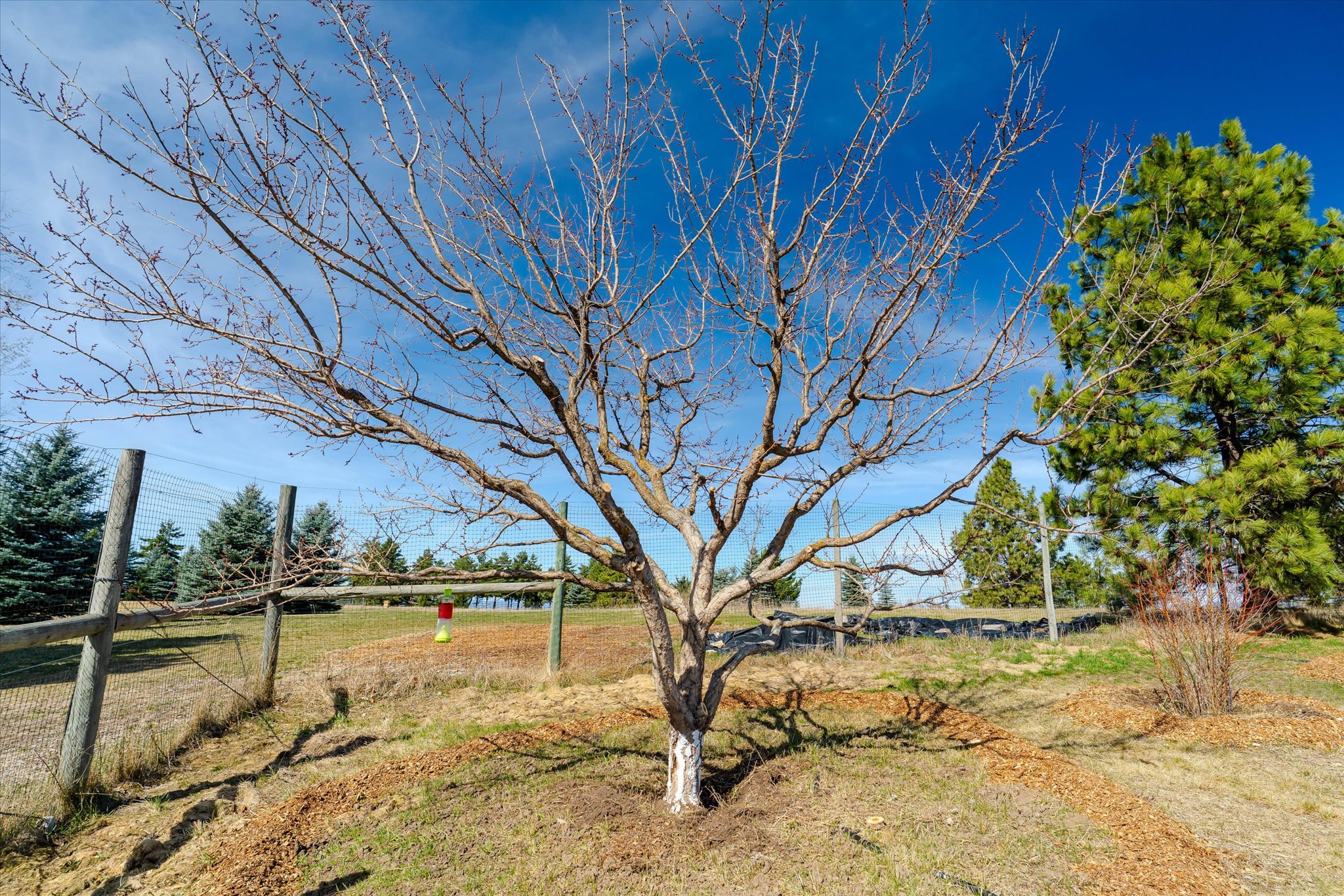 182 Moondance Trail