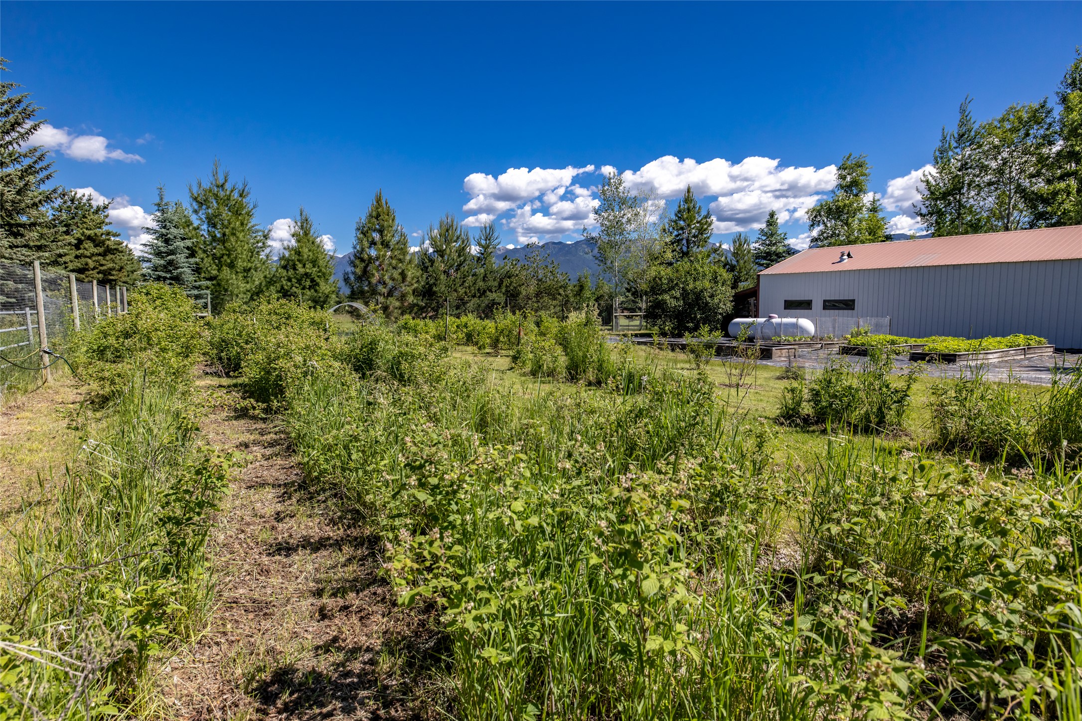 182 Moondance Trail